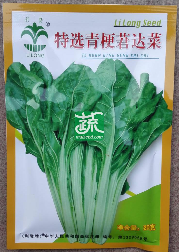 江门利隆 特选青梗莙达菜 早熟 较耐寒 耐热 品质佳 莙达菜种子(20克