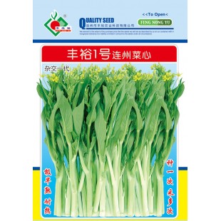 连州丰裕 丰裕一号连州菜心 极早熟 耐热 菜心种子 10