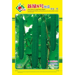 连州丰裕 新绿8号丝瓜种子 头尾均匀 颜色深绿 品质优良 丝瓜种子 10克装