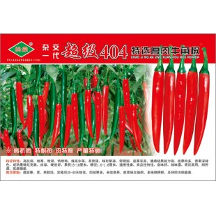 广州绿霸 超级404特选厚肉牛角椒种子  高抗病 特耐热 肉特厚 产量特高 辣椒种子 5克装