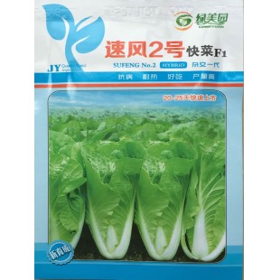 广州绿霸 速风2号快菜种子F1 抗病 耐热 好吃 产量高 白菜种子 10克装