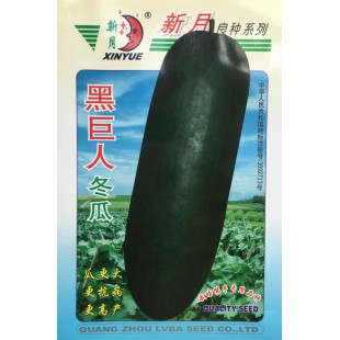 广州绿霸 黑巨人冬瓜种子 瓜炮弹形 墨绿色 瓜更大 更抗病 更高产 冬瓜种子 常规种 10克装