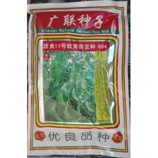广州广联 改良11号软荚荷荷兰豆种子 中生种 产量高 耐旱耐寒 荚荷豆种子 500克装
