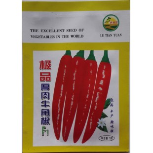 广州伟兴 极品厚肉牛角椒种子 抗病 高产 辣味强 坐果能力强 牛角椒种子 5克装