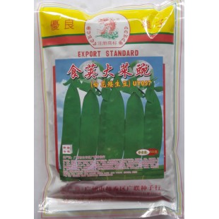 广州广联 食荚大菜豌豆种子 早熟 结荚率高 白花矮生豆 特抗病 豌豆种子 500克装