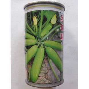 中国农科院 圣菲亚西葫芦种子 早熟 耐热抗寒 亩产可达30000斤 西葫芦种子 50克罐装