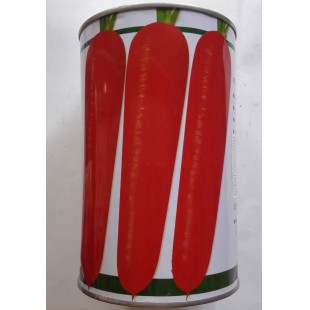 北京大一种苗 粤红999胡萝卜种子 早熟 三红率高 根形整齐 胡萝卜种子 300克装