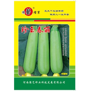 河南豫艺 珍玉春丽西葫芦种子 瓜色亮绿 长约23厘米 粗约6厘米 西葫芦种子 100克装