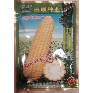广州田联 田蜜二号超甜玉米种子  糖份含量高 果皮较薄 抗病性强 玉米种子 200克装