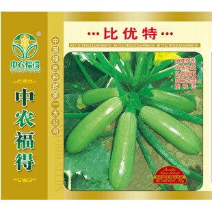 中国农科院 比优特西葫芦种子 早熟 抗寒耐低温 抗病性强 西葫芦种子 50克装