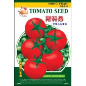 广州农源 斯科昂番茄种子 结果率强 高产 果实大 肉厚 色泽鲜红亮丽 耐贮运 番茄种子 1克装
