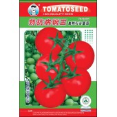 广州农源 特抗病钢王番茄种子 结果率强 高产 果实大 肉厚 色泽鲜红亮丽 耐贮运 番茄种子 1000粒装
