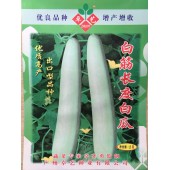 广州卓艺 白筋长度白瓜种子 植株蔓生 生长势旺盛 白绿色有光泽 单瓜约重350克 白瓜种子 10克装