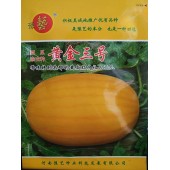 豫艺种业 豫艺黄金三号西瓜种子 中心含糖量12.5% 香味浓 口感好 西瓜种子 100粒装