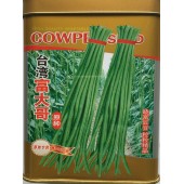 福建建阳晓富种子 台湾富大哥豆角种子 早熟品种 蔓生 有分支 叶片较小 深绿色 豆角种子 200克装