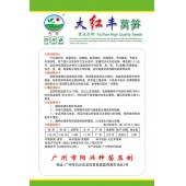 广州阳兴 大红丰莴笋种子 可全年种植 越夏抗高温栽培推荐品种 莴笋种子 10克装