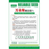 广州阳兴 万朵绿西兰花种子 中熟 商品性好 产量高 西兰花种子 5克装