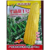 广东现代 耕耘华威甜一号甜玉米 甜度高 品质好 高抗病 玉米种子 200克装