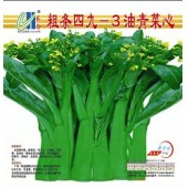 广州长和 粗条四九-3油青菜心种子 中熟 色泽翠绿 适合出口菜场 菜心种子 400克装
