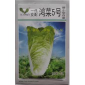 江门鸿图种苗 鸿菜5号新小型白菜种子 早熟 单球重1.5公斤左右 白菜种子 10克装
