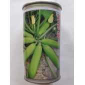 中国农科院 圣菲亚西葫芦种子 早熟 耐热抗寒 亩产可达30000斤 西葫芦种子 50克罐装