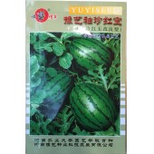 河南豫艺 袖珍红宝西瓜种子 外观艳丽 口感均极佳 果皮薄 西瓜种子 200粒装