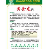 中国农科院 黄金龙黄皮椒种子 早熟 特长黄皮尖椒 长25-32厘米 黄皮椒种子1000粒装