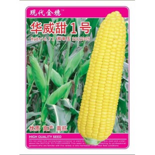 广东现代金穗 华威甜1号玉米种子 优质 高产 高抗 黄粒玉米种子 400克装