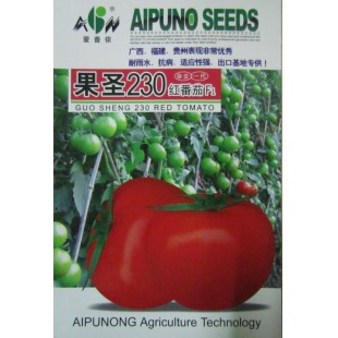广东爱普农 果圣230红番茄种子 以色列引进 无限生长 坐果率高 耐裂果 抗病 番茄种子 5克装