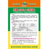 广东爱普农 特靓358白菜苔种子 改良优化新品种 耐旱耐寒 品质脆嫩 清甜 白菜种子 10克装
