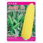 广东现代金穗 华威甜1号玉米种子 优质 高产 高抗 黄粒玉米种子 200克装