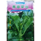 广东广良公司 青春菜心种子 最新育成品种 晚熟 菜心种子 250克装