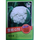 广东爱普农 雪航G7松花菜种子 花球全松 品质超越 特别青梗 单球重1.2-2.2公斤 松花菜种子 5克装