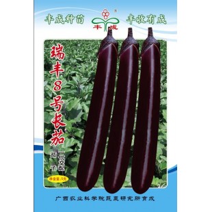 广西农科院 瑞丰8号长茄种子 果实长棒形 果皮深紫色且有光泽 抗病性及耐热性强 茄子种子 5克装