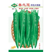 广州绿霸 春之冠早熟大青椒种子 膨大快 辣味浓 上市早 卖价高 高产稳产 青椒种子 5克装
