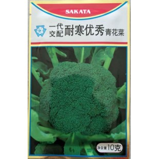 香港高华 耐寒优秀青花菜种子 日本SAKATA选育 香港高华种业出品 青花菜种子 10克装