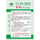 广州绿霸 墨丽紫黑长茄种子 黑亮 肉嫩 优质丰产 抗病性强 亩产可达7000公斤以上 茄子种子 5克装