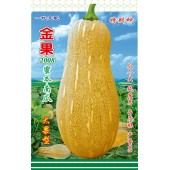 广州绿霸 金果蜜本南瓜种子 大果型 瓜个大 纯度高 品质好 亩产可达2500公斤以上 蜜本南瓜 50克装