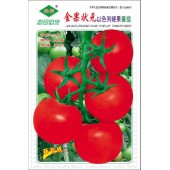 广州绿霸 金果状元番茄种子 无限生长型 长势旺 抗病性强 耐裂果 品质佳 耐贮运 达到出口标准 番茄种子 5克装