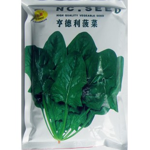 广州广联种苗 亨德利菠菜种子 半圆叶型 叶色深绿 400克装
