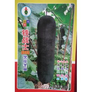 广州大有 铁战士555杂交冬瓜种子 瓜长55-70cm 横径约23cm 果实圆柱形 单瓜可达25公斤 冬瓜种子 10克装