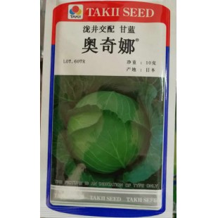 日本泷井种苗 奥奇娜甘蓝种子 耐热性好 早熟 球扁圆形 产量高 甘蓝种子 10克装
