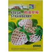 北京华艺 奶油草莓种子 四季播种 口感香甜 生长旺盛 果大品质好 50粒装