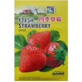 北京华艺 四季草莓种子 四季播种 口感香甜 生长旺盛 果大品质好 50粒装