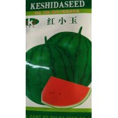 新疆科世达种业 红小玉西瓜种子 果肉鲜红 果重1-2公斤 不易裂果 抗病性好 10克装 西瓜种子