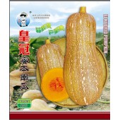 广州农源 皇冠 高产 优质 纯度高 抗性强  耐贮运 40克装 南瓜种子