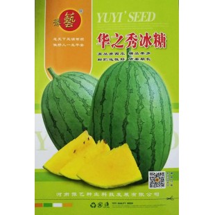 豫艺种业 华之秀冰糖西瓜种子 瓜瓤黄色 单瓜重3.5千克 糖度可达14% 皮薄而硬 西瓜种子 200粒装