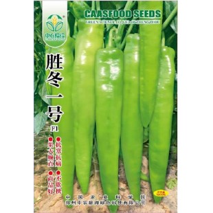 中国农科院 胜冬一号 日光温室用 果大顺直 抗寒抗病 早熟品种 高抗病毒病 市场价格最高 亩产6000-8000公斤 1000粒装 黄皮椒种子