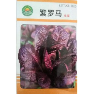北京绿东方 紫罗马生菜 直立 红紫色 色泽艳丽 不易抽苔 较耐热 10克装 生菜种子