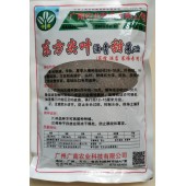 广州广南 东方尖叶甜菜心种子 早熟 粗条尖叶油青 生长快 产量高 菜心种子 400克装